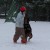 Bebe Vom Aztlan Handled  By Leonie 05